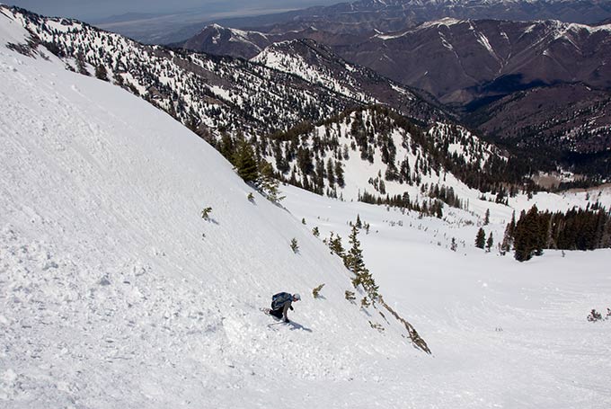 into the bowl